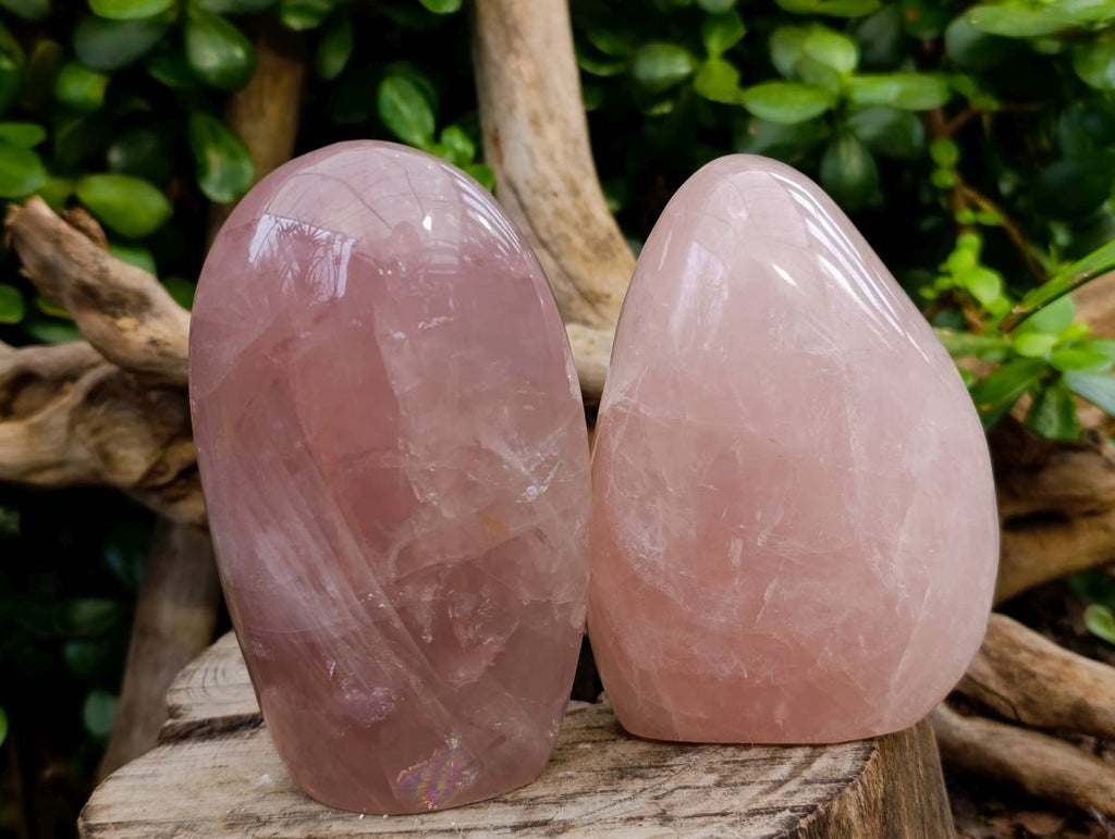 Polished Rose Quartz Standing Free Forms x 2 From Madagascar - Toprock Gemstones and Minerals 