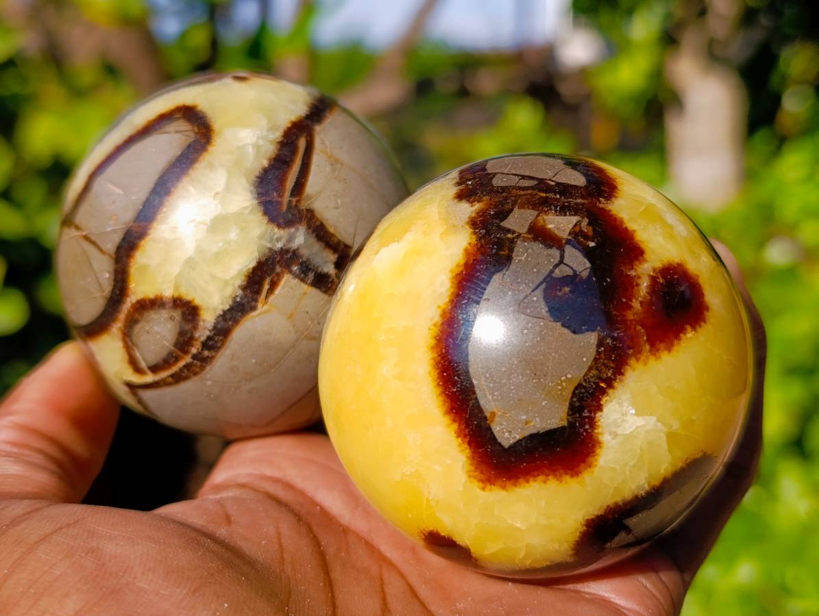 Polished Fossilized Septerye Spheres x 6 From Mahajanga, Madagascar - Toprock Gemstones and Minerals 
