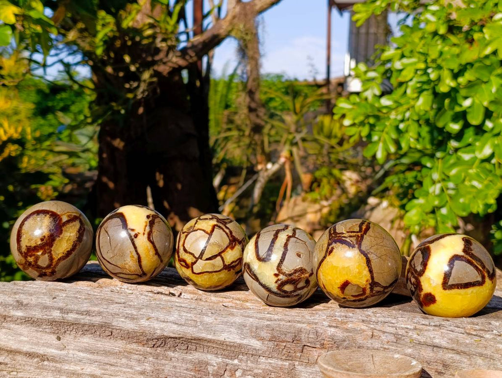 Polished Fossilized Septerye Spheres x 6 From Mahajanga, Madagascar - Toprock Gemstones and Minerals 