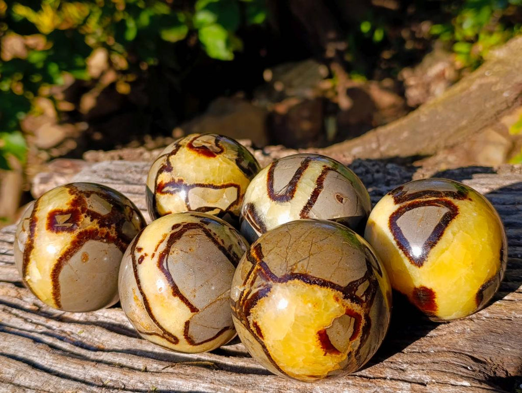 Polished Fossilized Septerye Spheres x 6 From Mahajanga, Madagascar - Toprock Gemstones and Minerals 