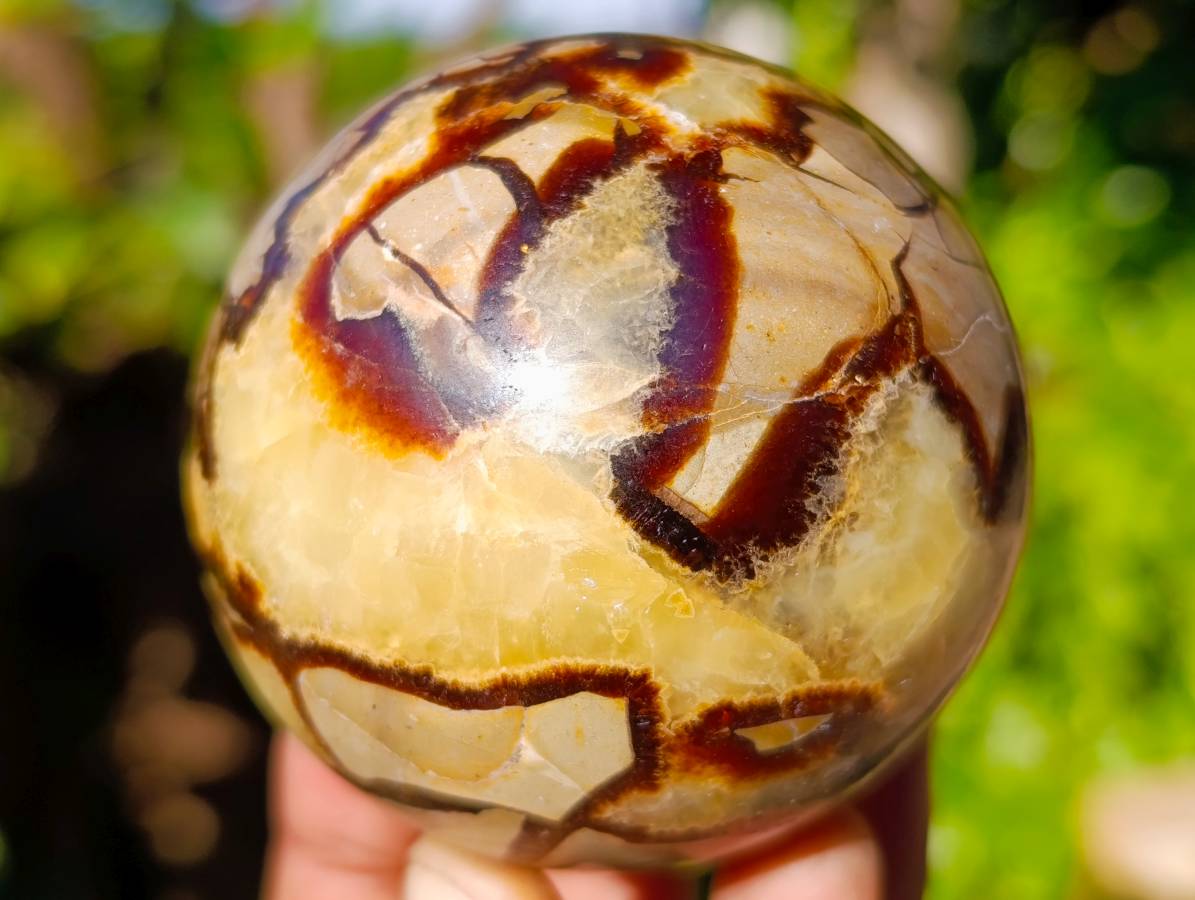 Polished Fossilized Septerye Spheres x 6 From Mahajanga, Madagascar - Toprock Gemstones and Minerals 