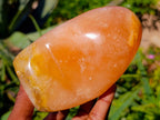 Polished Orange Twist Calcite Standing Free Forms x 2 From Madagascar - Toprock Gemstones and Minerals 