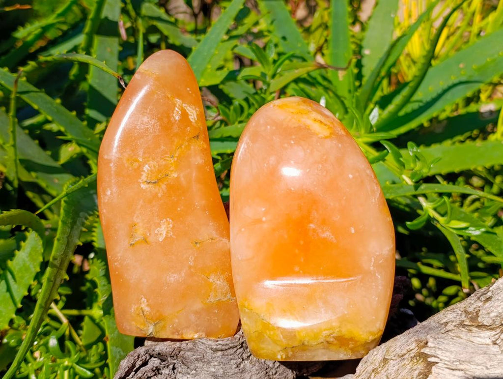 Polished Orange Twist Calcite Standing Free Forms x 2 From Madagascar - Toprock Gemstones and Minerals 