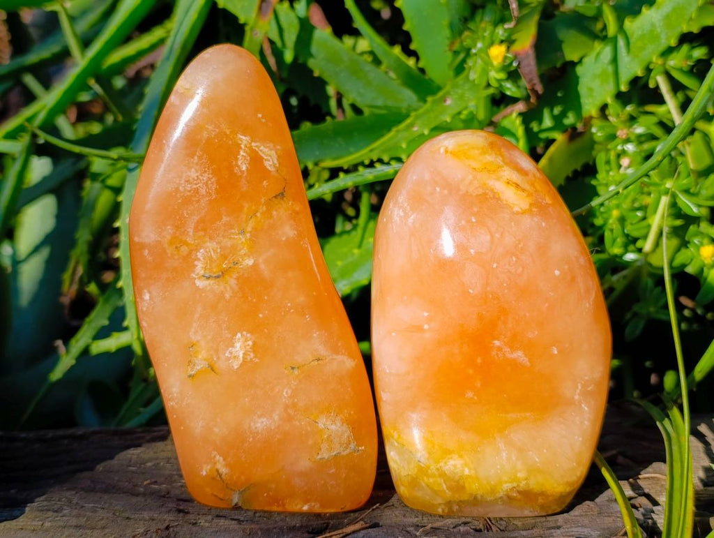 Polished Orange Twist Calcite Standing Free Forms x 2 From Madagascar - Toprock Gemstones and Minerals 