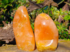 Polished Orange Twist Calcite Standing Free Forms x 2 From Madagascar - Toprock Gemstones and Minerals 