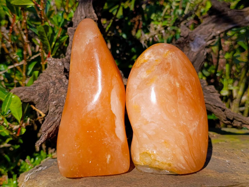 Polished Orange Twist Calcite Standing Free Forms x 2 From Madagascar - Toprock Gemstones and Minerals 