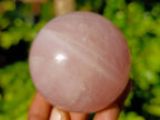 Polished Rose Quartz Spheres x 4 Madagascar - Toprock Gemstones and Minerals 