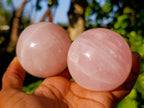 Polished Rose Quartz Spheres x 4 Madagascar - Toprock Gemstones and Minerals 
