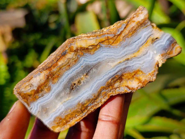 Polished On One Side Blue Lace Agate x 12 From Malawi