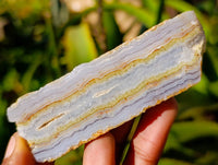 Polished On One Side Blue Lace Agate x 12 From Malawi