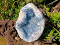 Natura Celestite Geode Specimen x 1 From Sakoany, Madagascar - Toprock Gemstones and Minerals 