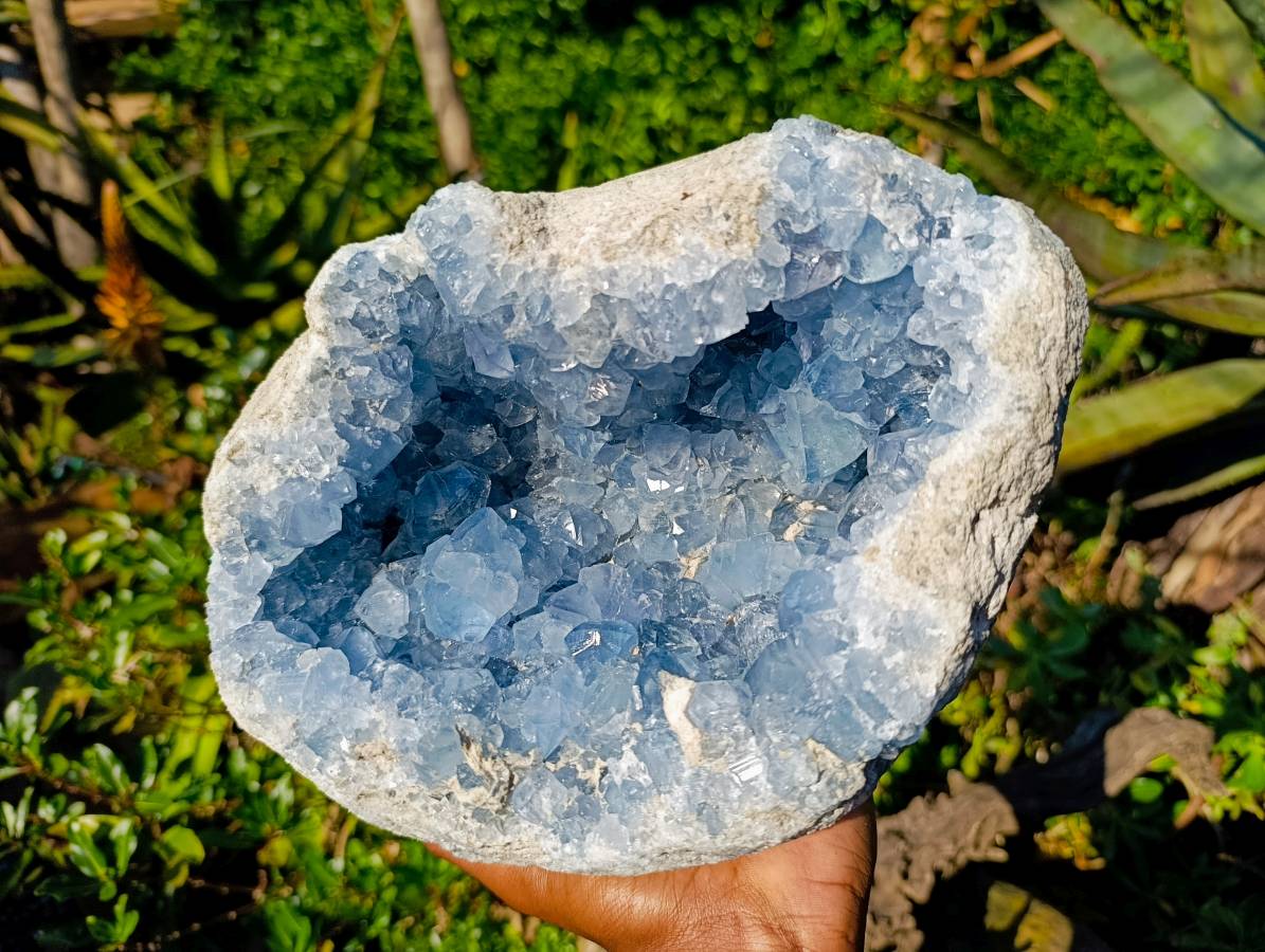 Natura Celestite Geode Specimen x 1 From Sakoany, Madagascar - Toprock Gemstones and Minerals 