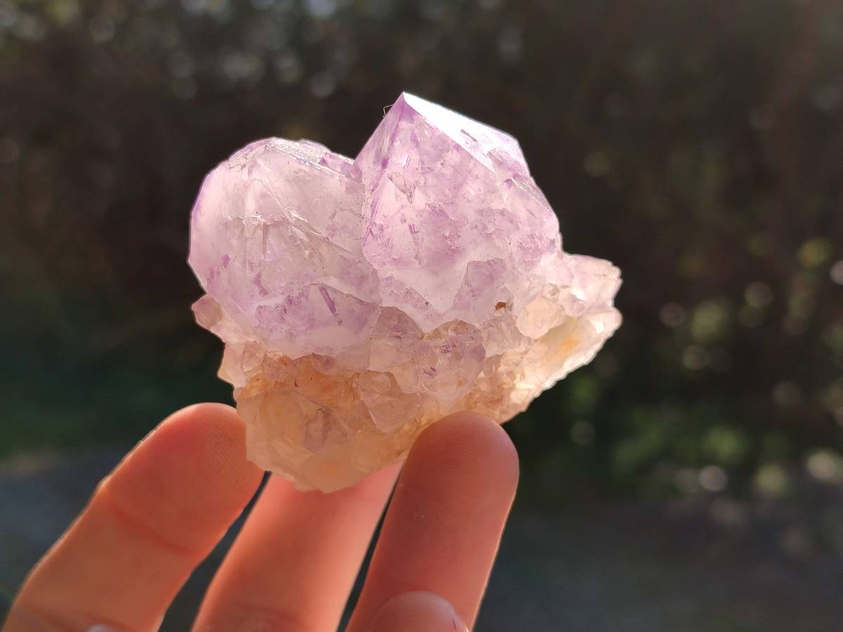 Natural Sunburst Amethyst Spirit Quartz Clusters x 12 From Boekenhouthoek, South Africa - Toprock Gemstones and Minerals 