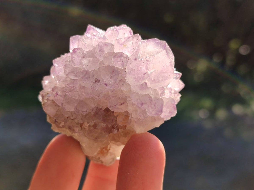 Natural Sunburst Amethyst Spirit Quartz Clusters x 12 From Boekenhouthoek, South Africa - Toprock Gemstones and Minerals 