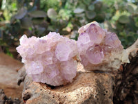 Natural Sunburst Amethyst Spirit Quartz Clusters x 12 From Boekenhouthoek, South Africa