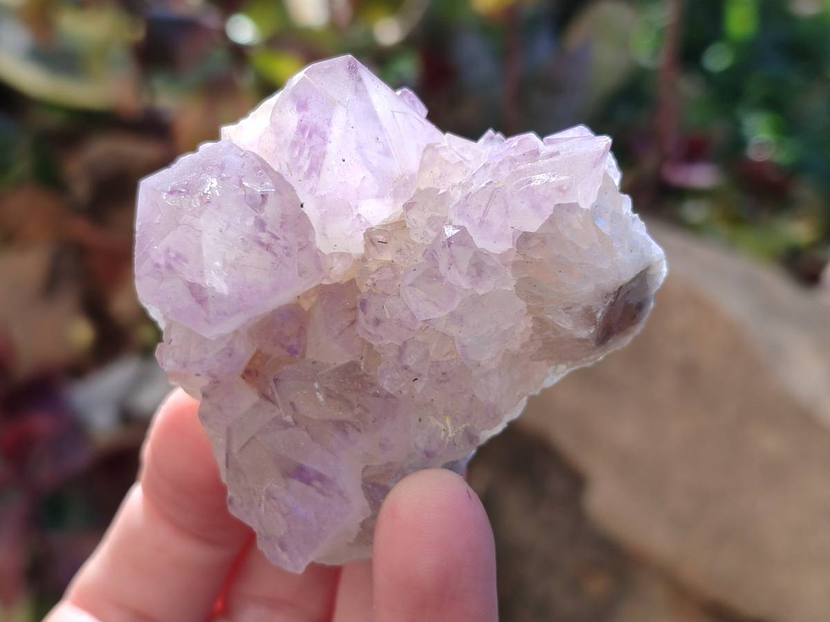 Natural Sunburst Amethyst Spirit Quartz Clusters x 12 From Boekenhouthoek, South Africa - Toprock Gemstones and Minerals 