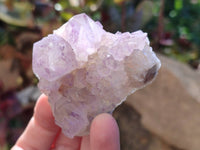 Natural Sunburst Amethyst Spirit Quartz Clusters x 12 From Boekenhouthoek, South Africa
