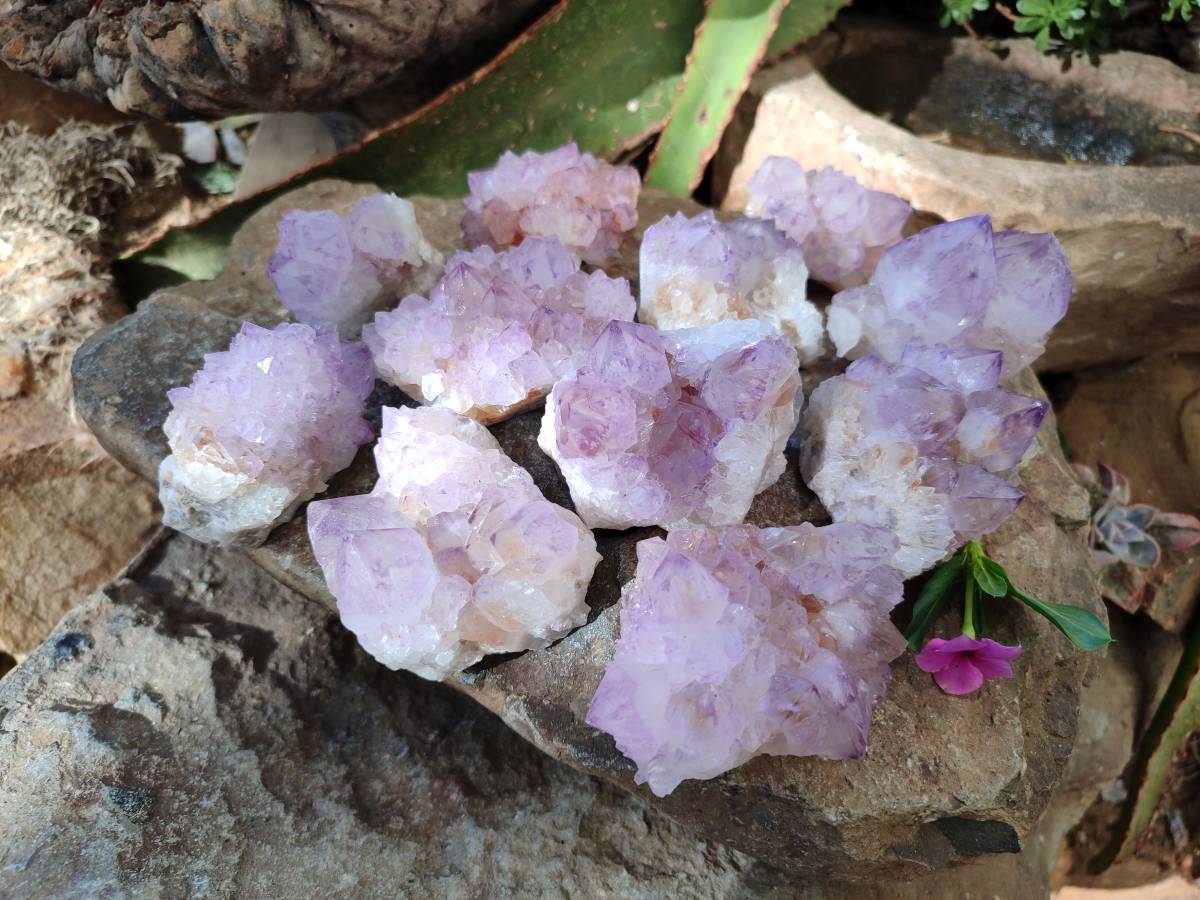 Natural Sunburst Amethyst Spirit Quartz Clusters x 12 From Boekenhouthoek, South Africa - Toprock Gemstones and Minerals 