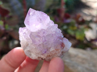 Natural Sunburst Amethyst Spirit Quartz Clusters x 12 From Boekenhouthoek, South Africa