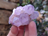 Natural Sunburst Amethyst Spirit Quartz Clusters x 12 From Boekenhouthoek, South Africa