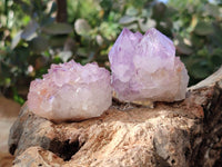 Natural Sunburst Amethyst Spirit Quartz Clusters x 12 From Boekenhouthoek, South Africa