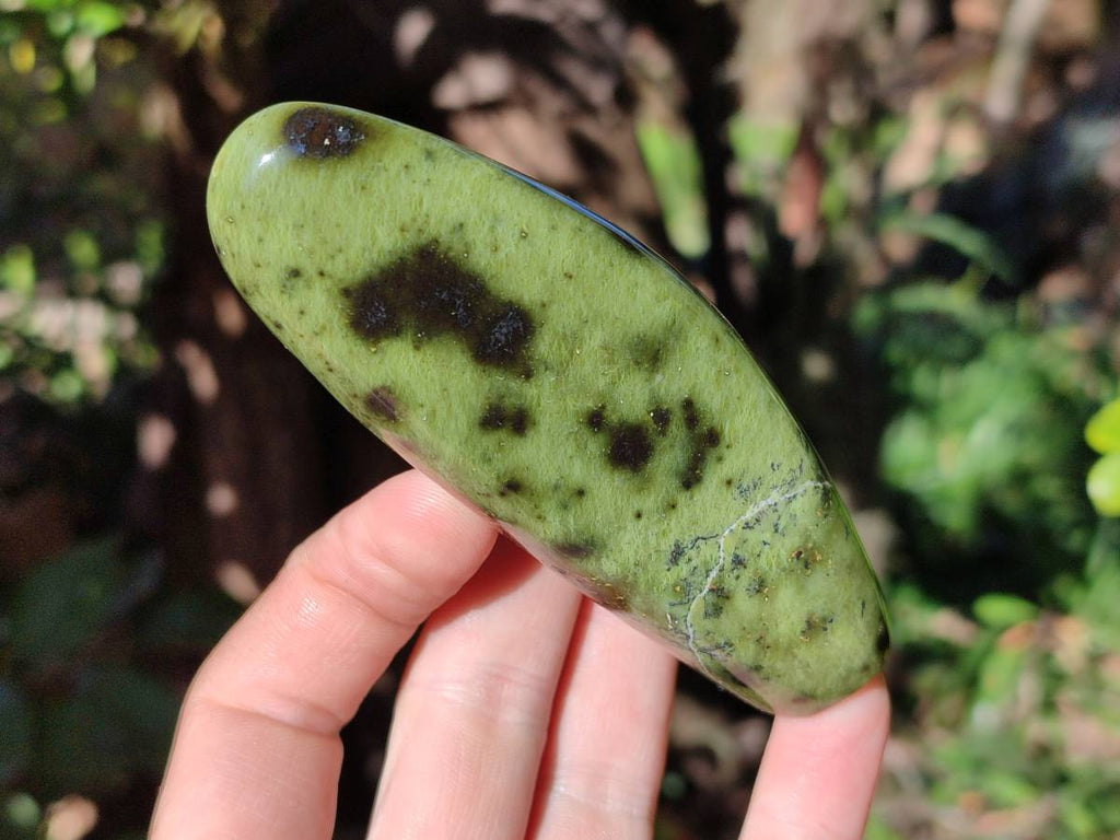 Polished Leopard Stone Standing Free Forms x 5 From Nyanga, Zimbabwe - Toprock Gemstones and Minerals 