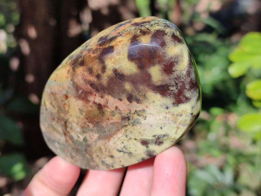 Polished Leopard Stone Standing Free Forms x 5 From Nyanga, Zimbabwe - Toprock Gemstones and Minerals 