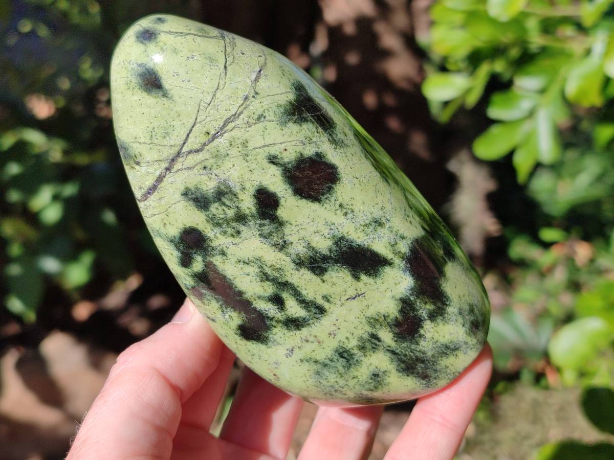 Polished Leopard Stone Standing Free Forms x 5 From Nyanga, Zimbabwe - Toprock Gemstones and Minerals 