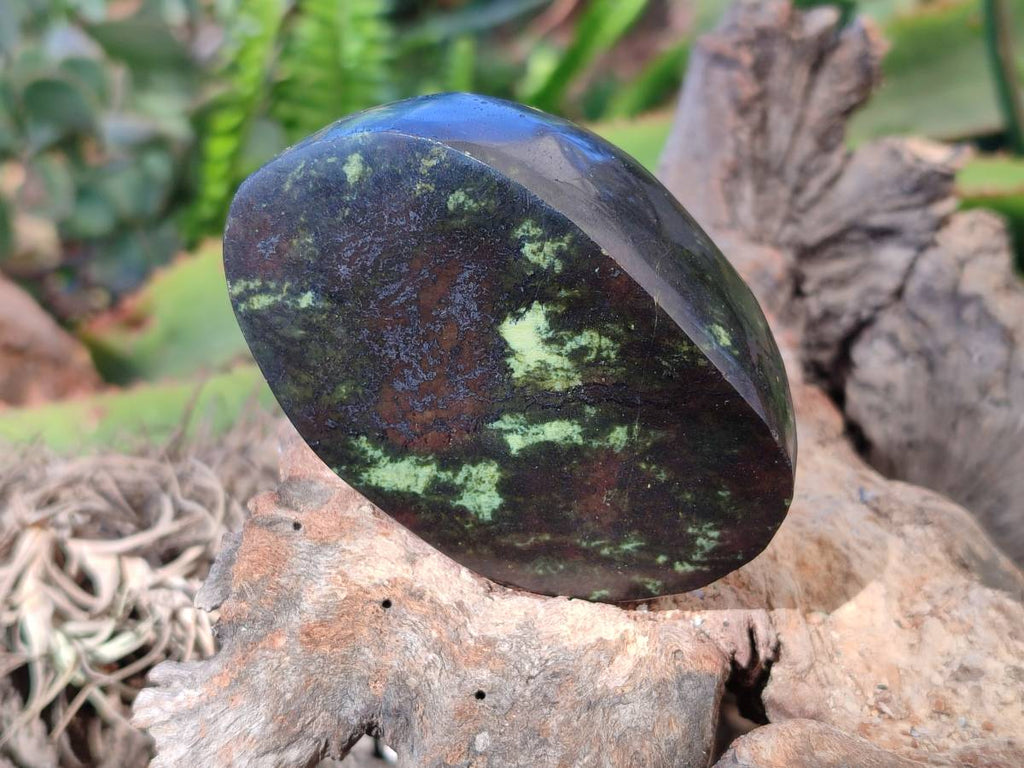 Polished Leopard Stone Standing Free Forms x 5 From Nyanga, Zimbabwe - Toprock Gemstones and Minerals 