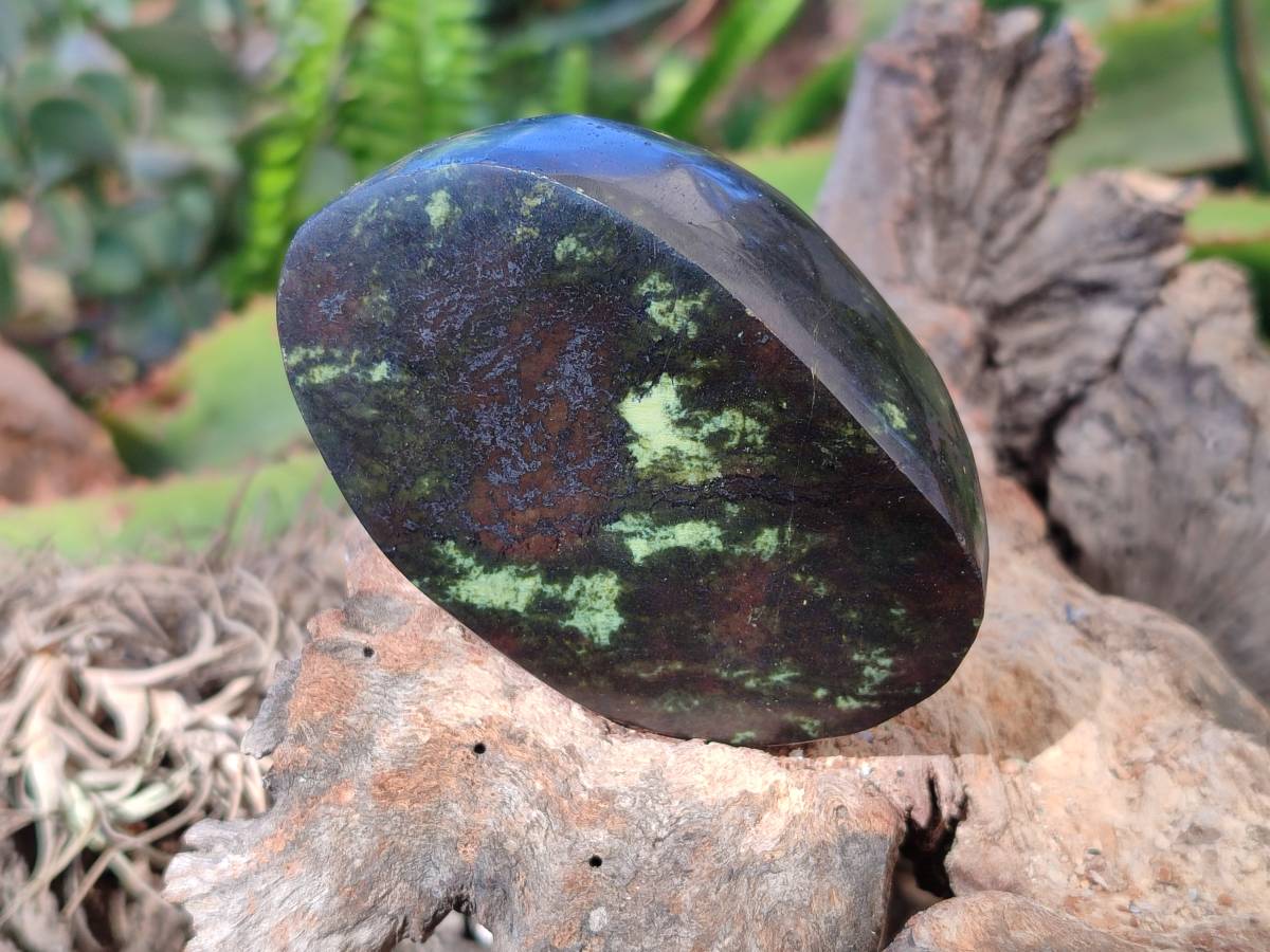 Polished Leopard Stone Standing Free Forms x 5 From Nyanga, Zimbabwe - Toprock Gemstones and Minerals 