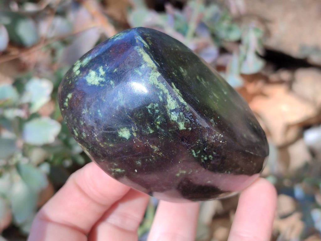 Polished Leopard Stone Standing Free Forms x 5 From Nyanga, Zimbabwe - Toprock Gemstones and Minerals 