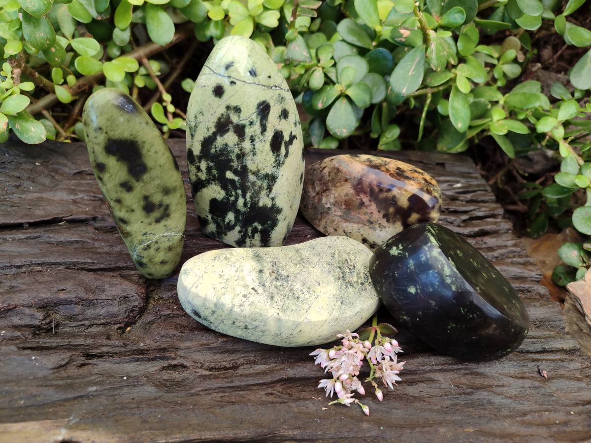 Polished Leopard Stone Standing Free Forms x 5 From Nyanga, Zimbabwe - Toprock Gemstones and Minerals 
