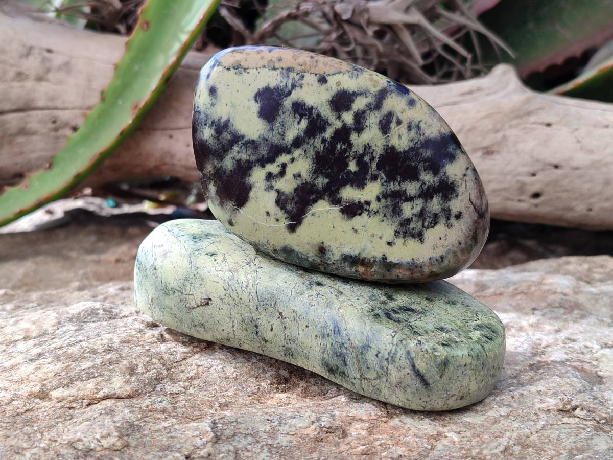 Polished Leopard Stone Standing Free Forms x 5 From Nyanga, Zimbabwe - Toprock Gemstones and Minerals 