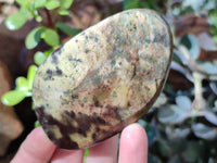 Polished Leopard Stone Standing Free Forms x 5 From Nyanga, Zimbabwe - Toprock Gemstones and Minerals 