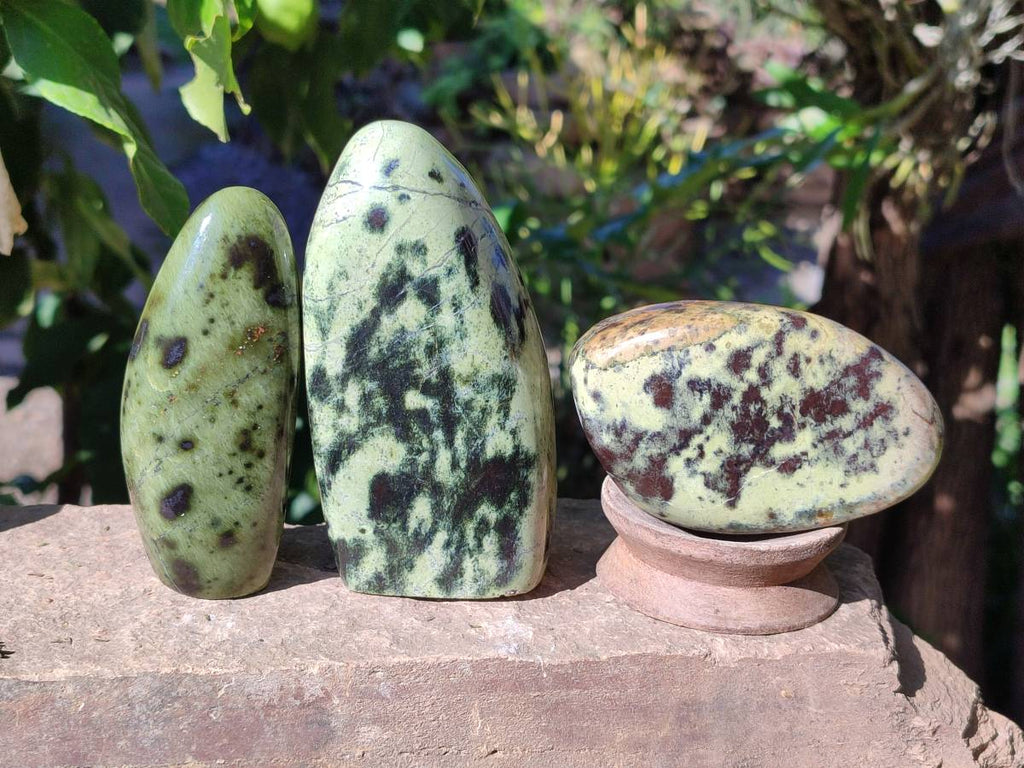 Polished Leopard Stone Standing Free Forms x 5 From Nyanga, Zimbabwe - Toprock Gemstones and Minerals 
