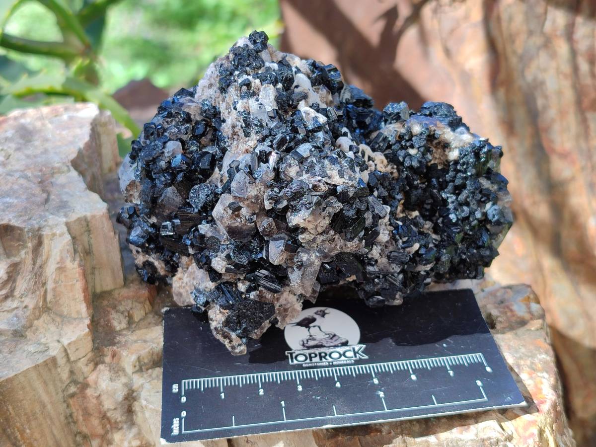 Natural Schorl Black Tourmaline With Cubic Fluorite Specimens x 2 From Namibia - Toprock Gemstones and Minerals 