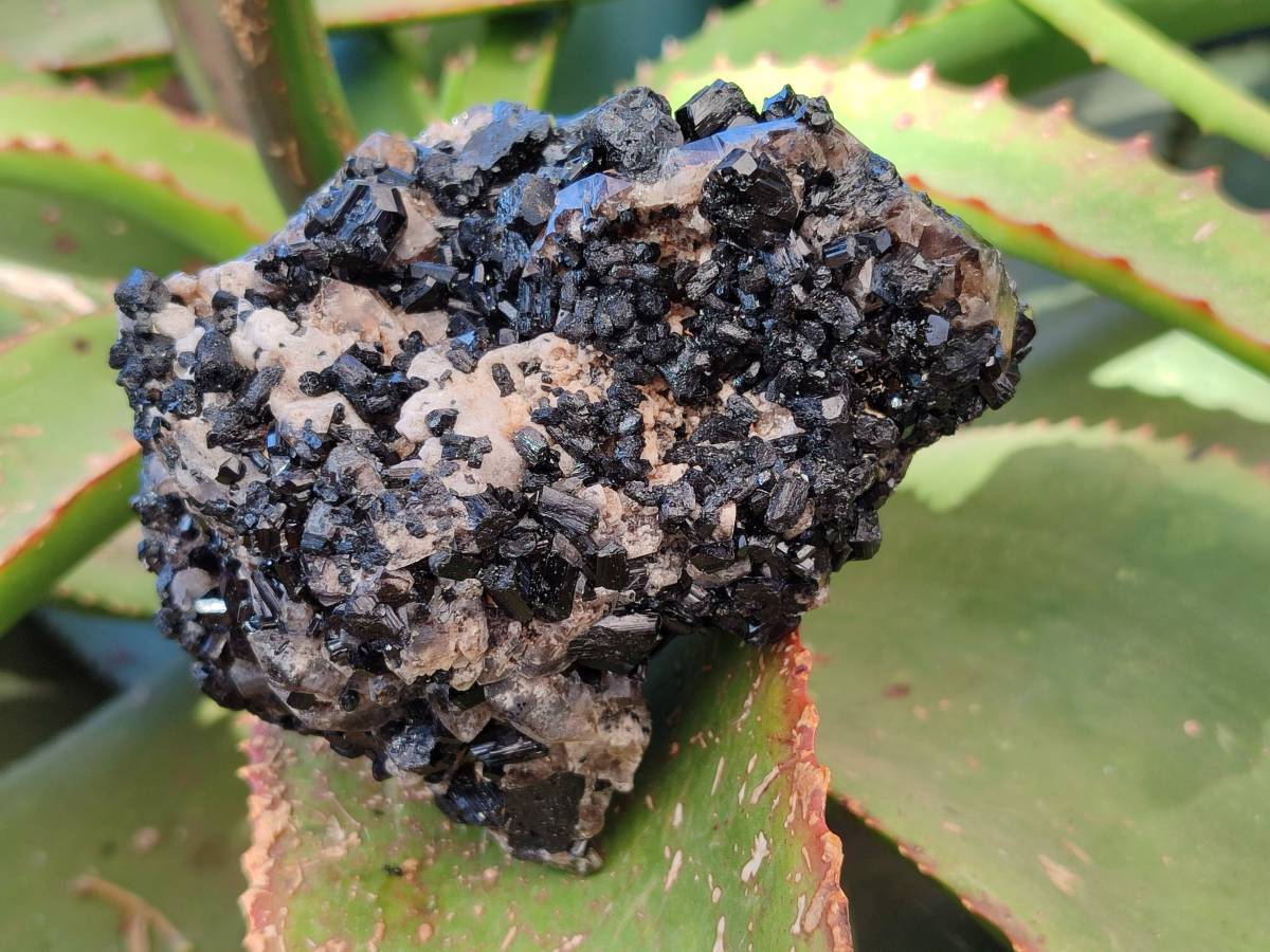 Natural Schorl Black Tourmaline With Cubic Fluorite Specimens x 2 From Namibia - Toprock Gemstones and Minerals 