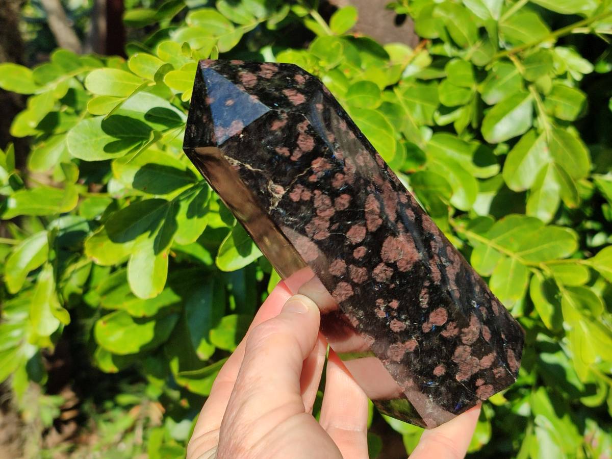 Polished Mixed Iolite Water Sapphire Items x 2 From South Africa - Toprock Gemstones and Minerals 