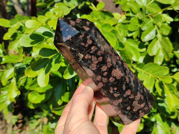 Polished Mixed Iolite Water Sapphire Items x 2 From South Africa