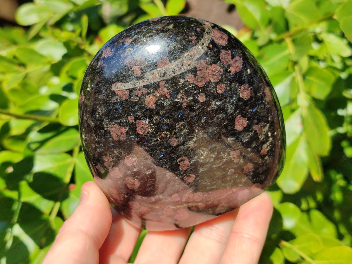 Polished Mixed Iolite Water Sapphire Items x 2 From South Africa - Toprock Gemstones and Minerals 