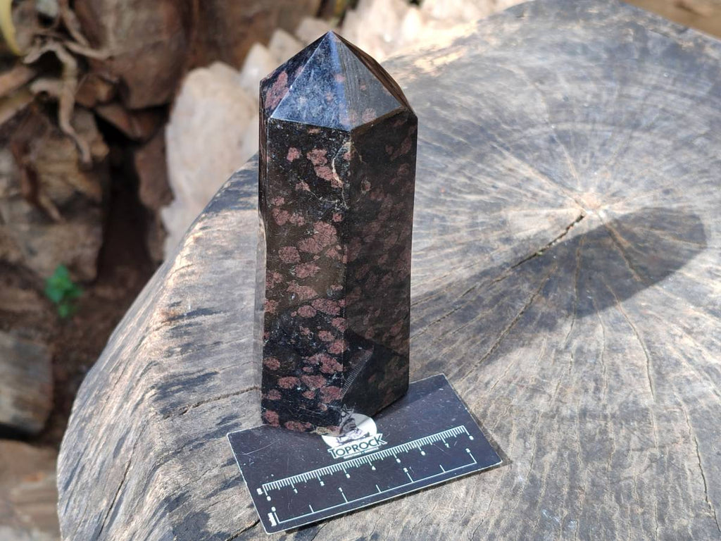 Polished Mixed Iolite Water Sapphire Items x 2 From South Africa - Toprock Gemstones and Minerals 