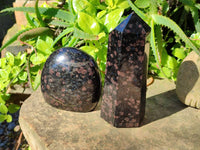 Polished Mixed Iolite Water Sapphire Items x 2 From South Africa