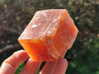 Natural Sunset Orange Calcite Specimens x 15 From Spitzkop, Namibia - Toprock Gemstones and Minerals 