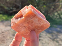 Natural Sunset Orange Calcite Specimens x 15 From Spitzkop, Namibia