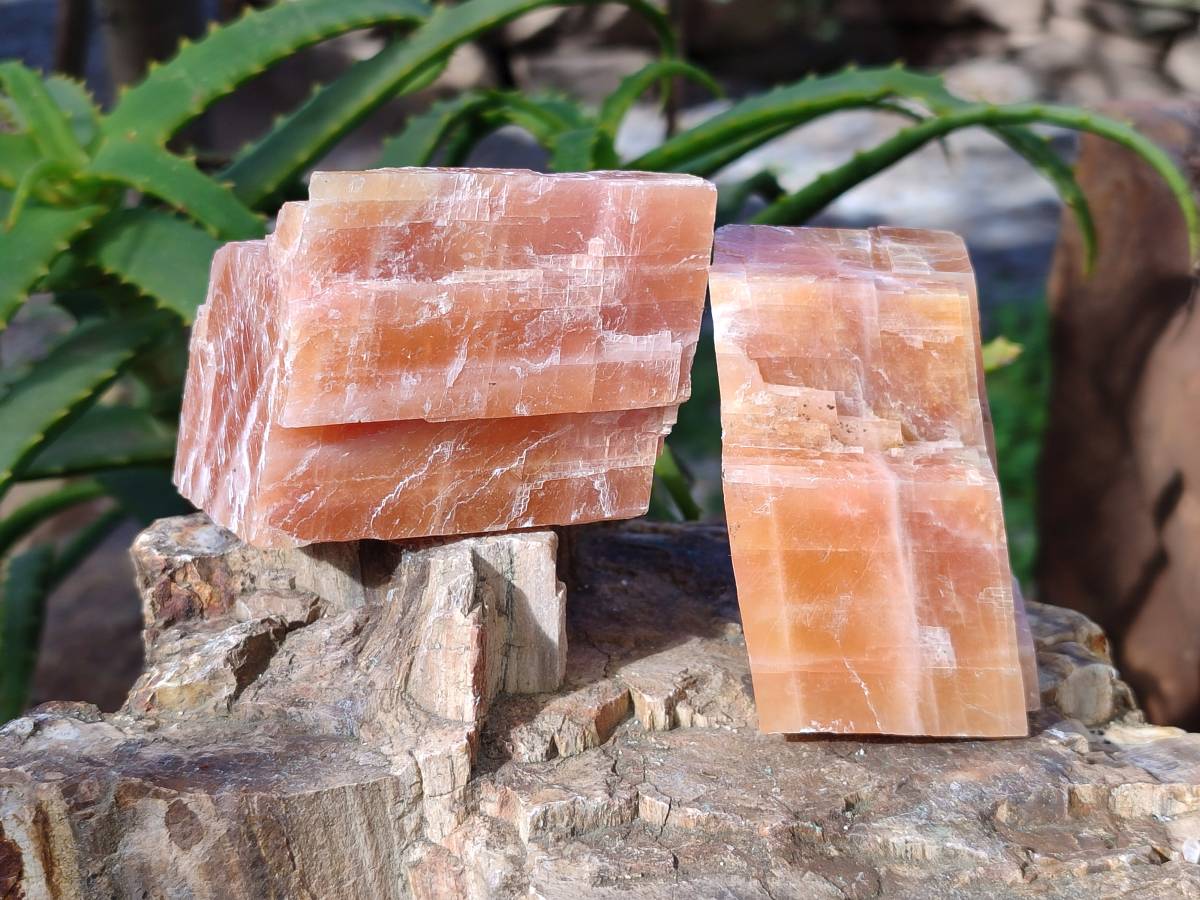 Natural Sunset Orange Calcite Specimens x 15 From Spitzkop, Namibia - Toprock Gemstones and Minerals 