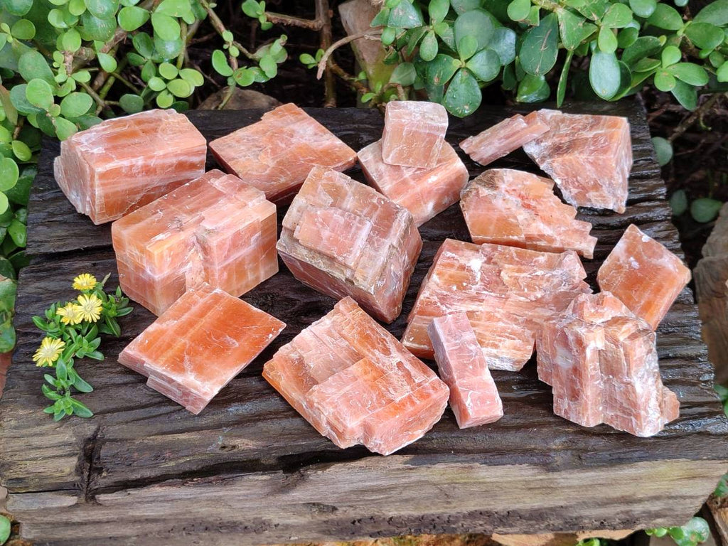 Natural Sunset Orange Calcite Specimens x 15 From Spitzkop, Namibia - Toprock Gemstones and Minerals 