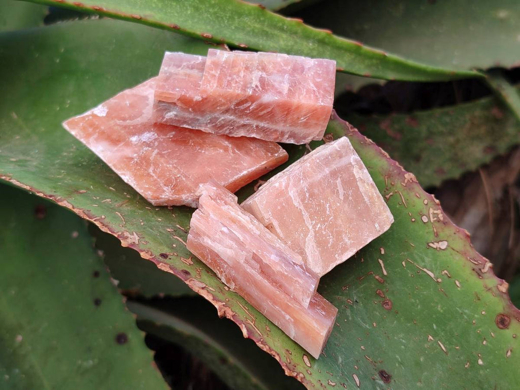 Natural Sunset Orange Calcite Specimens x 15 From Spitzkop, Namibia - Toprock Gemstones and Minerals 