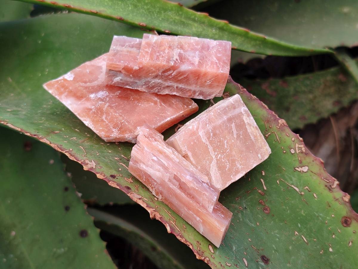 Natural Sunset Orange Calcite Specimens x 15 From Spitzkop, Namibia - Toprock Gemstones and Minerals 