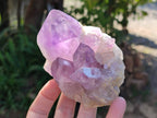Polished Jacaranda Amethyst Quartz Crystals x 6 From Mumbwa, Zambia - Toprock Gemstones and Minerals 