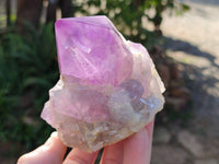Polished Jacaranda Amethyst Quartz Crystals x 6 From Mumbwa, Zambia - Toprock Gemstones and Minerals 